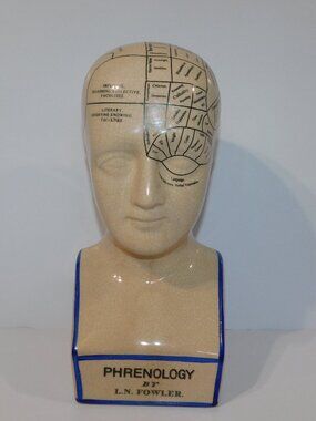VTG L.N. Fowler Phrenology Head Bust 12.5" Crazed Glaze Ceramic The Human Mind